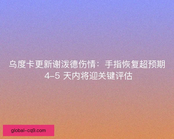 乌度卡更新谢泼德伤情：手指恢复超预期 4-5 天内将迎关键评估