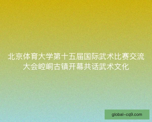 北京体育大学第十五届国际武术比赛交流大会崆峒古镇开幕共话武术文化